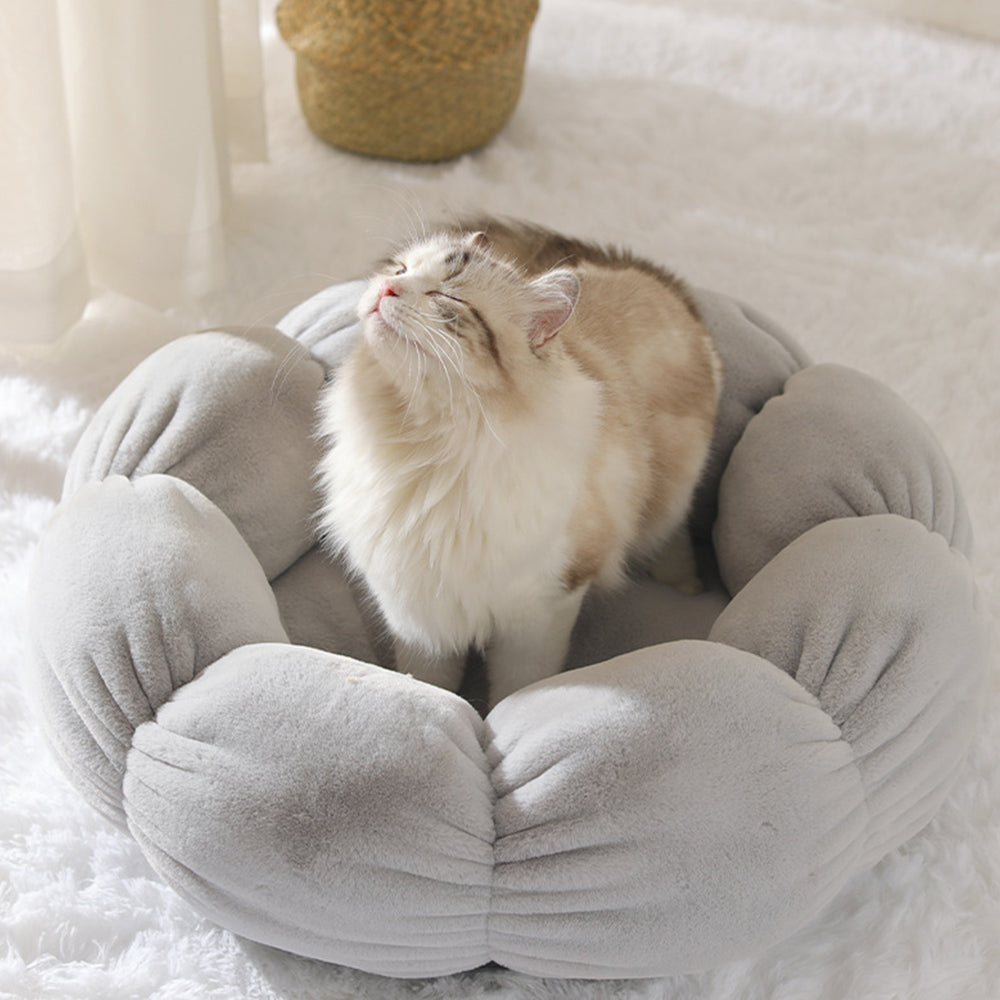 Universal Washable Cat and Dog Bed